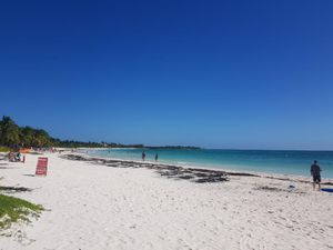 Terreno en Venta en Playa del Carmen Solidaridad