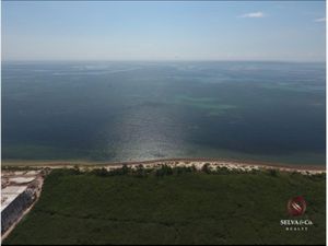 Terreno en Venta en Puerto Morelos Puerto Morelos