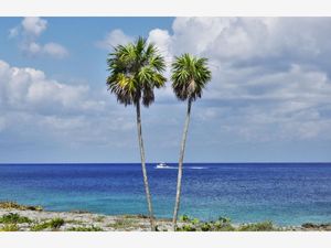 Casa en Venta en San Gervasio Cozumel