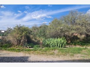 Terreno en Venta en San Miguel de Allende Centro San Miguel de Allende