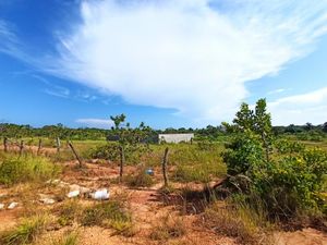 Terreno en Venta en Las Palmas Cosoleacaque