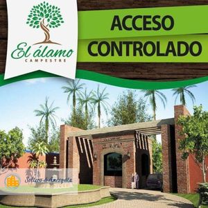 Venta Terreno Campestre/El Alamo/Culiacan