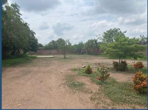 Venta Terreno Campestre/La Higuerita/Culiacan