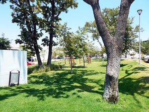 Terreno en Venta en Madeiras Zapopan