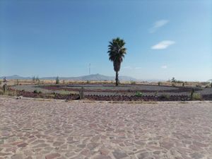 Terreno en Venta en Guanajuato (Internacional de Guanajuato) Silao de la Victoria