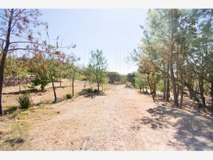 Terreno en Venta en Canoas Lagos de Moreno