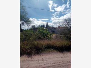 Terreno en Venta en San Isidro Guanajuato