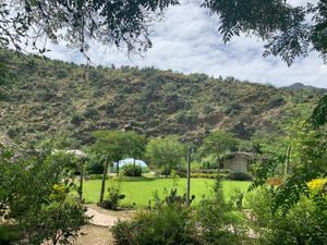 Finca/Rancho en Venta en El Chilar Tolimán