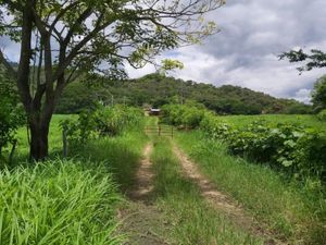 Finca/Rancho en Venta en Agronomos Mexicanos Villaflores