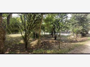 Terreno en Venta en Corral de Piedra San Cristóbal de las Casas