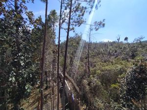 Terreno en Venta en San Cristobal de las Casas Centro San Cristóbal de las Casas