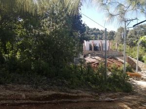 Terreno en Venta en Zacualpan de Ecatepec San Cristóbal de las Casas