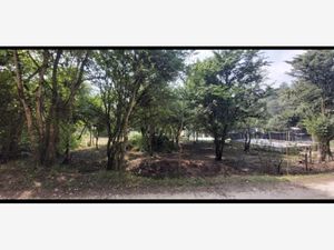 Terreno en Venta en Corral de Piedra San Cristóbal de las Casas