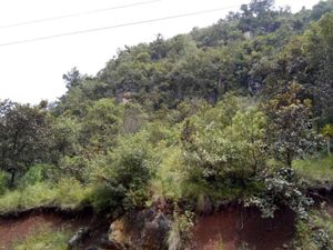 Terreno en Venta en Maria Auxiliadora San Cristóbal de las Casas