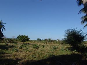 Terreno en Venta en El Aguacatal Carmen