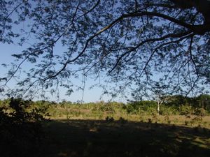 Terreno en Venta en El Aguacatal Carmen