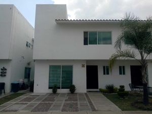 Casas en renta en La Gavia, Irapuato, Gto., México, 36823