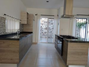 Casa en Renta en Lomas del Pedregal Irapuato