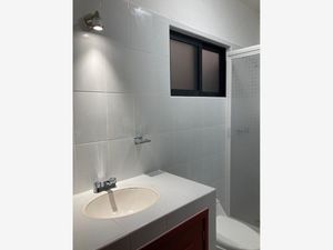 Departamento en Renta en Chamilpa Cuernavaca