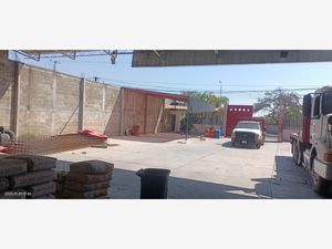 Bodega en Renta en Alpuyeca Xochitepec