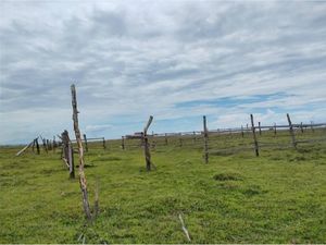 Terreno en Venta en El Carrizal Coyuca de Benítez