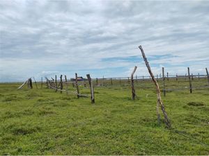 Terreno en Venta en El Carrizal Coyuca de Benítez