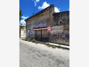 Terreno en Renta en Centro Hunucmá Hunucmá