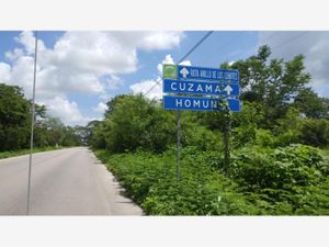 Terreno en Venta en Cuzama Cuzamá