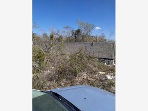 Terreno en Venta en Chuburna Puerto Progreso