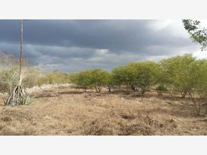 Terreno en Venta en Izamal Izamal