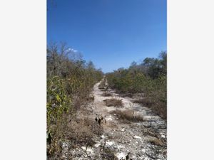 Terreno en Venta en Chuburna Puerto Progreso