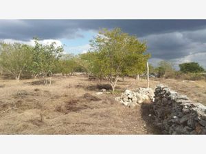 Terreno en Venta en Izamal Izamal