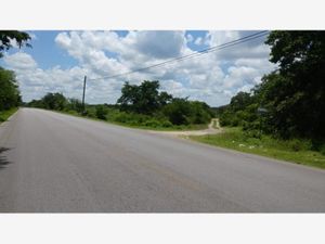 Terreno en Venta en Cuzama Cuzamá