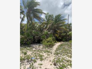 Terreno en Venta en Boca Paila Tulum