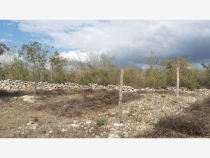 Terreno en Venta en Izamal Izamal