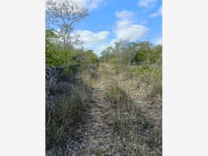 Terreno en Venta en Chablekal Mérida