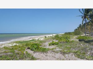 Terreno en Venta en San Crisanto Sinanché