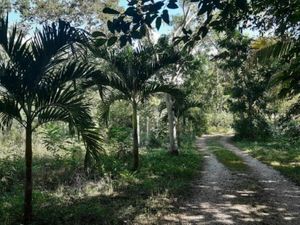 Terreno en Venta en Izamal Izamal