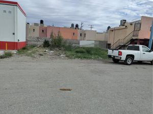 Terreno en Renta en La Dalia Torreón