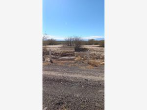 Terreno en Renta en Santa Cecilia Matamoros