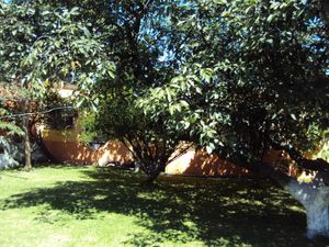 Finca/Rancho en Venta en Axocopan Atlixco