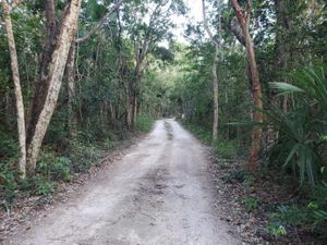 Terreno en Venta en Akumal Tulum