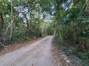 Terreno en Venta en Akumal Tulum