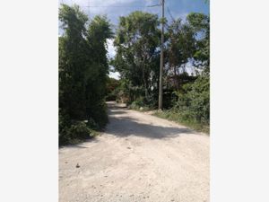 Terreno en Venta en Akumal Tulum