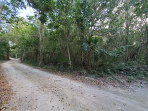 Terreno en Venta en Akumal Tulum