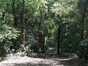 Terreno en Venta en Akumal Tulum