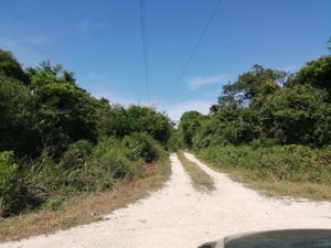 Terreno en Venta en Akumal Tulum