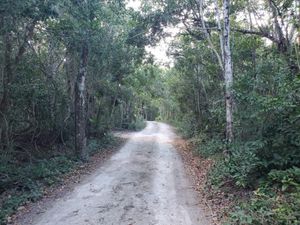 Terreno en Venta en Akumal Tulum