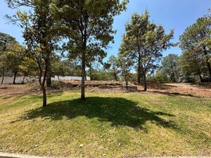 Terreno en Venta en Epenche Chico (Penche Chico) Mazamitla