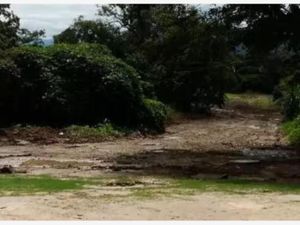 Terreno en Venta en CONGREGACION FRANCISCO SARABIA Misantla